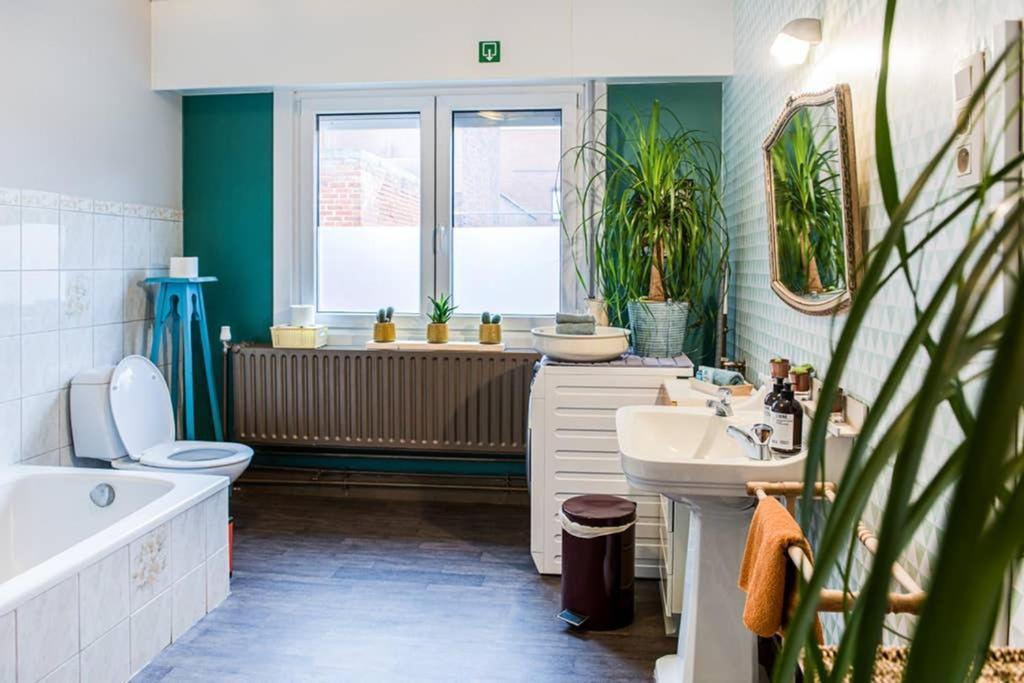 Vakantiewoning In Mol Centrum Met Eigen Bar "Casacuriosa" Luaran gambar